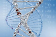 解码《健康预报台》 破